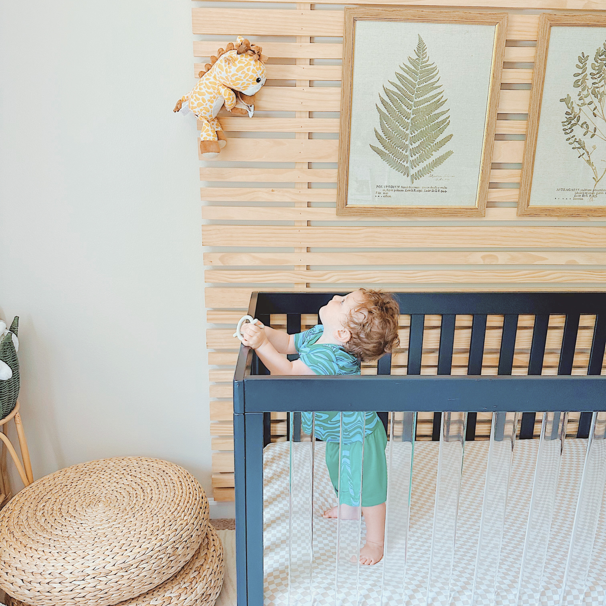Jordan Giraffe Baby Monitor Cute Nursery Audio Monitor